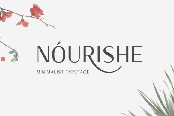 Nourishe: A Modern Sans Serif Typeface for Editorial Clarity and Impact